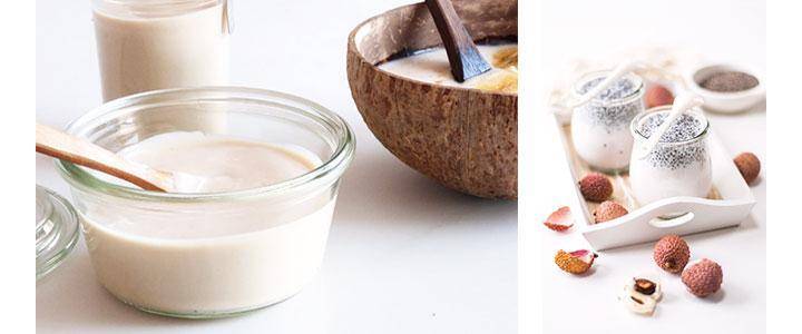Differences between Kefir vs Yogurt