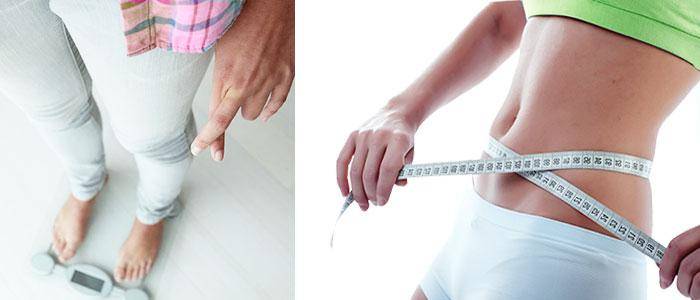 L. gasseri zur Gewichtsreduktion