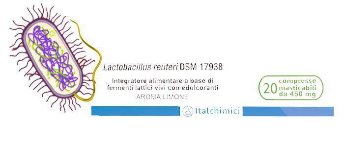 Lactobacillus reuteri: Verwendung als Probiotikum, potenzielle Vorteile und Effekte