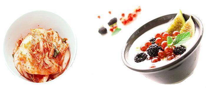 Lactobacillus gasseri, wo es gefunden wird