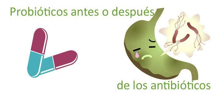 Probióticos antes o después del antibiótico