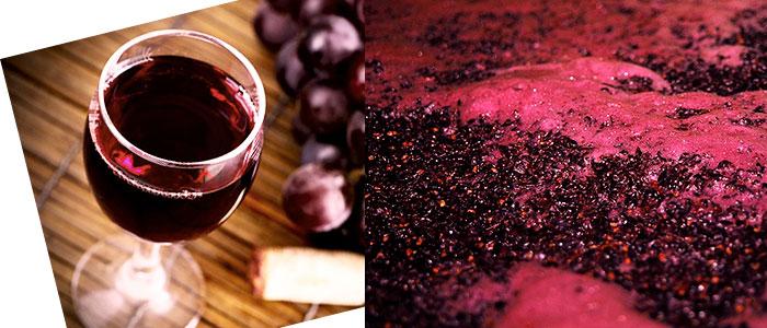 Fermentación del vino con saccharomyces cerevisiae