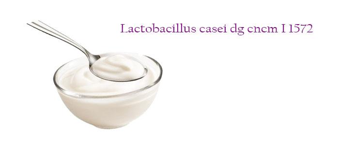 Lactobacillus casei DG CNCM I-1572