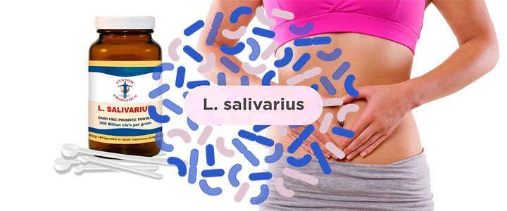 Lactobacillus Salivarius, beneficios y características del lactobacilo