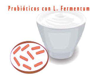 Probióticos con lactobacilos